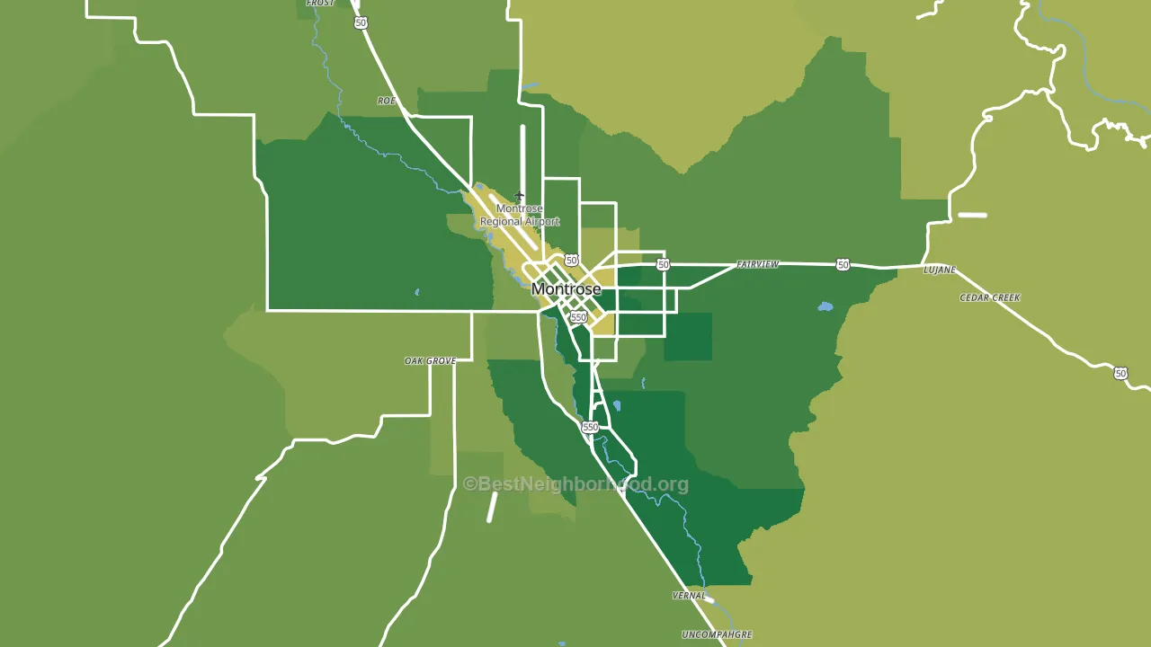 Montrose, CO block-group voter-turnout map