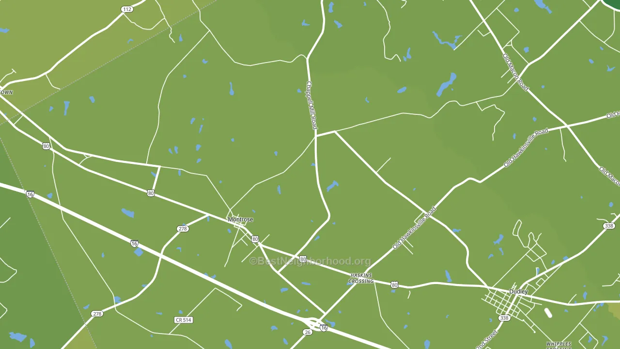 Montrose, GA block-group voter-turnout map