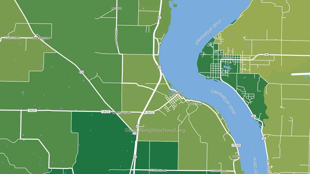 Montrose, IA block-group voter-turnout map