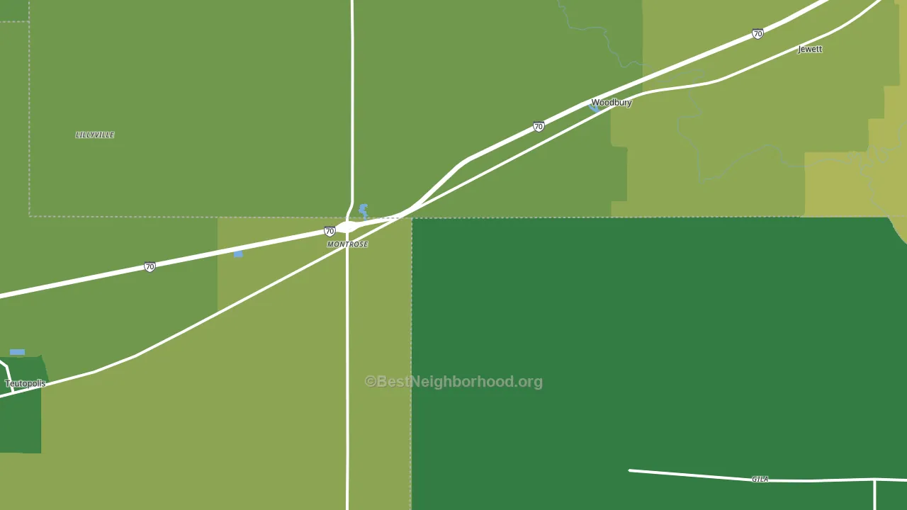 Montrose, IL block-group voter-turnout map