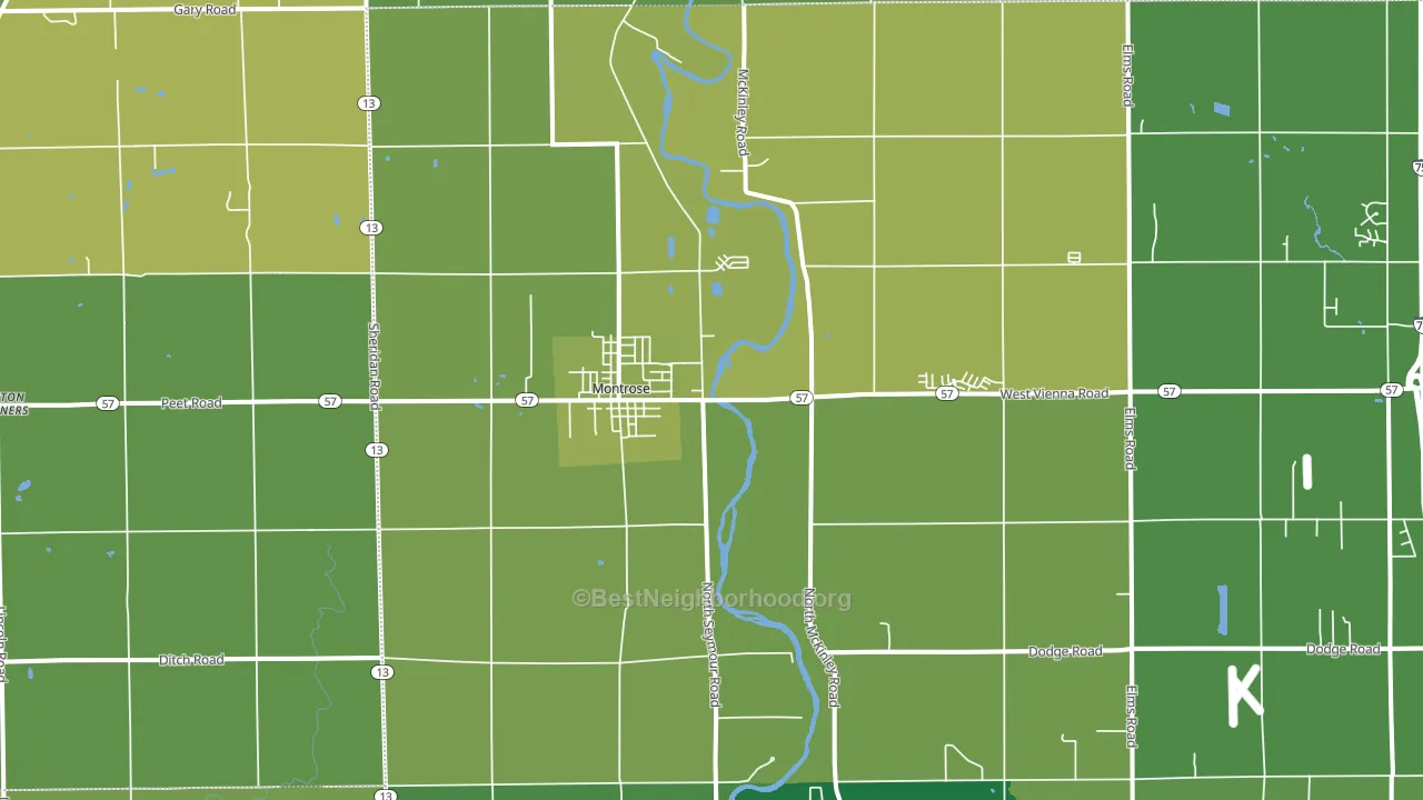 Montrose, MI block-group voter-turnout map