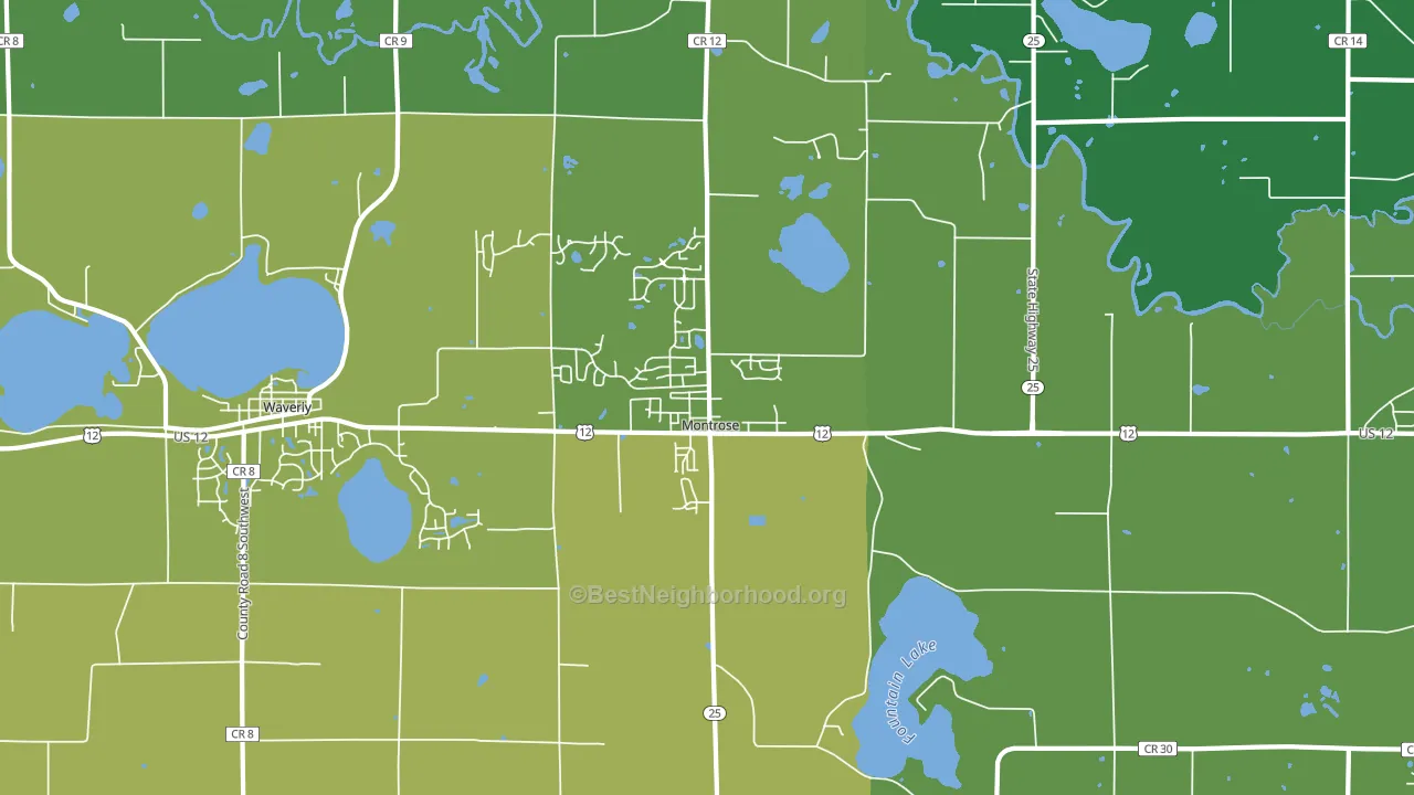Montrose, MN block-group voter-turnout map
