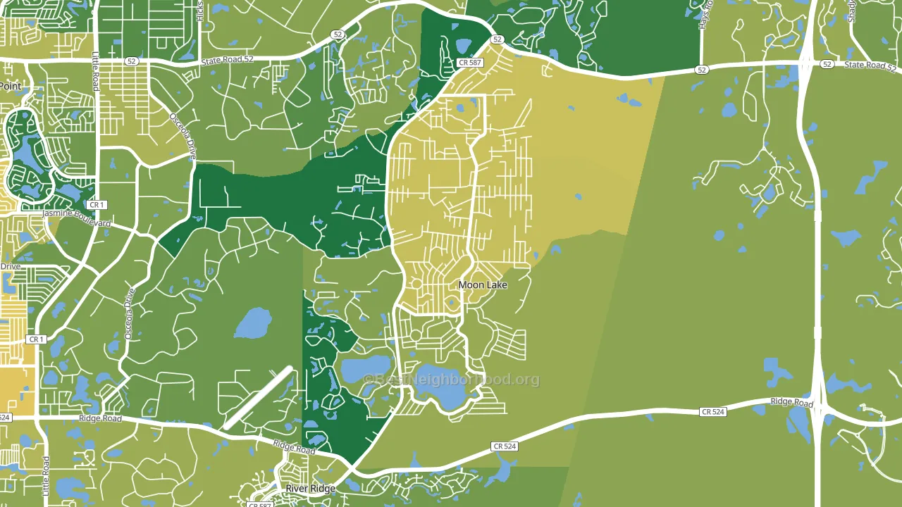 Moon Lake Estates, Moon Lake, FL block-group voter-turnout map