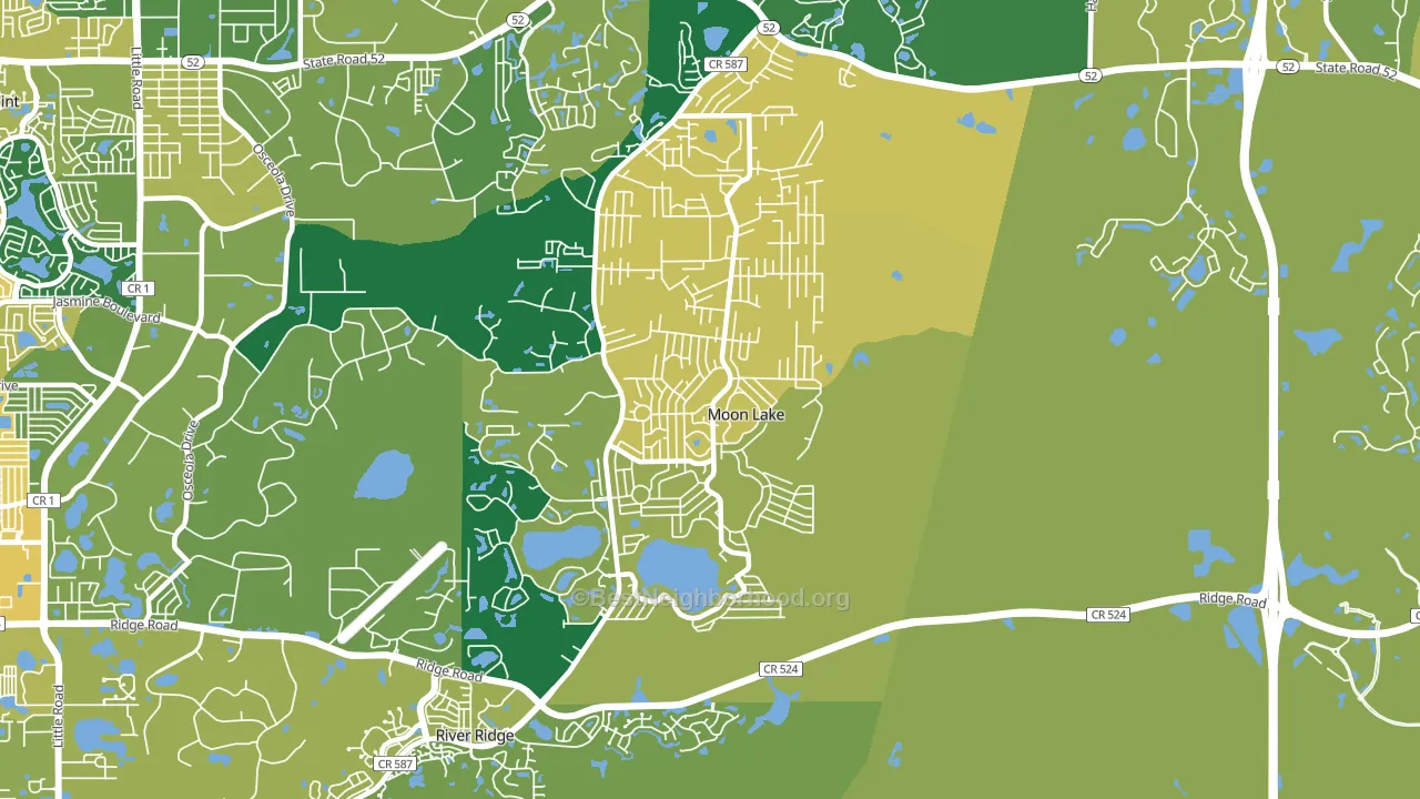 Moon Lake, FL block-group voter-turnout map