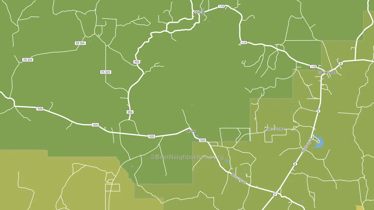 Mora, LA block-group voter-turnout map