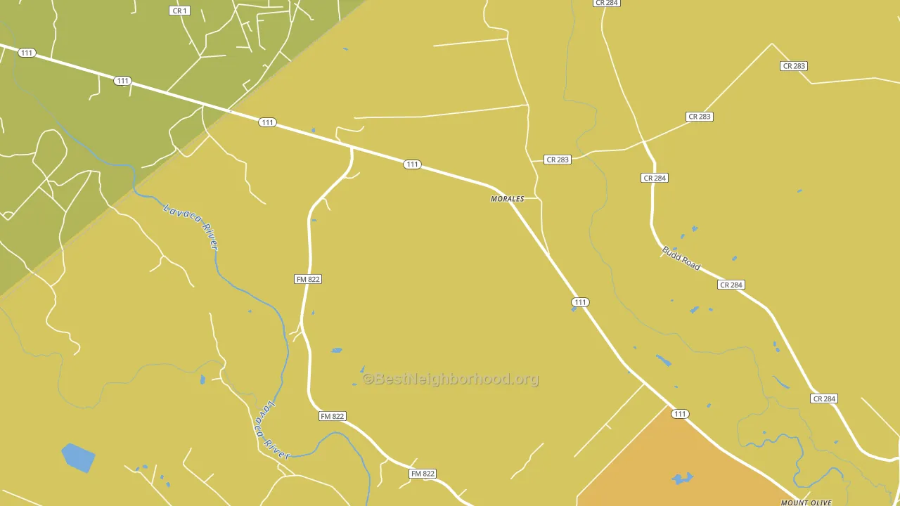 Morales, TX block-group voter-turnout map