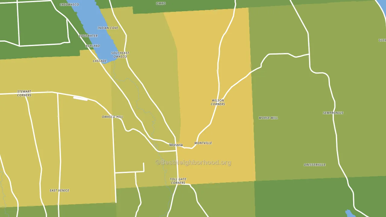 Moravia, NY block-group voter-turnout map