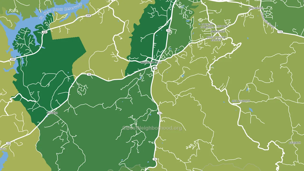 Moravian Falls, NC block-group voter-turnout map