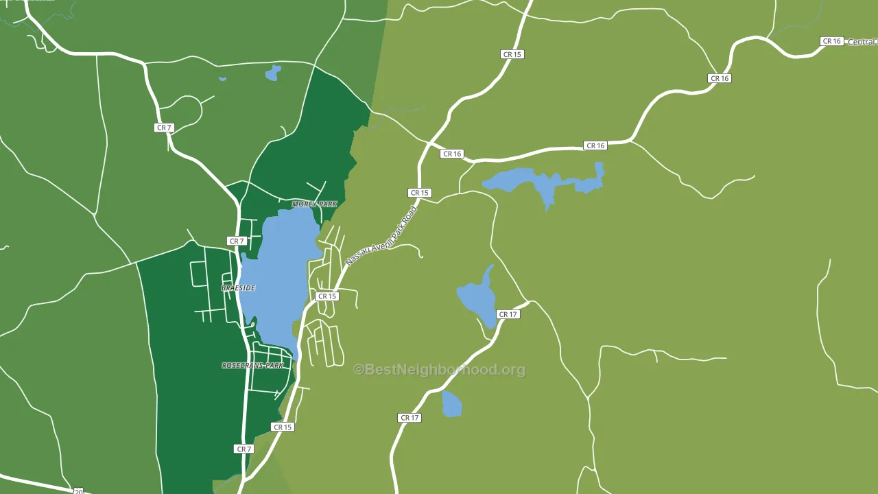 Morey Park, NY block-group voter-turnout map