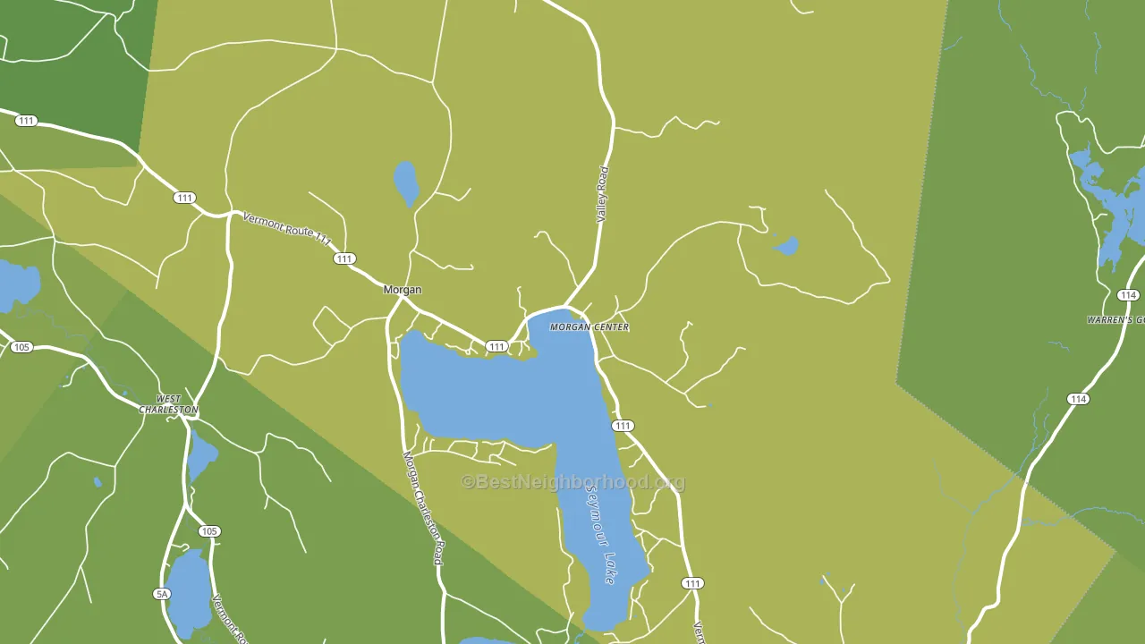 Morgan Center, VT block-group voter-turnout map