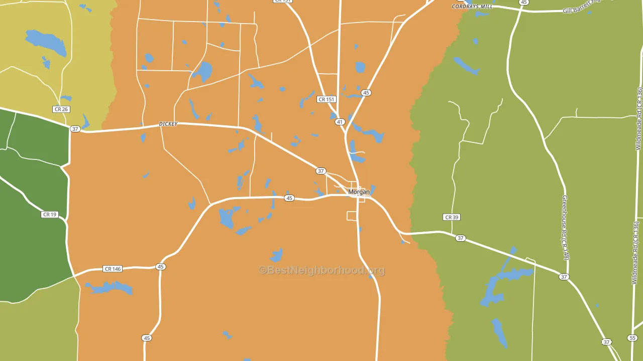 Morgan, GA block-group voter-turnout map
