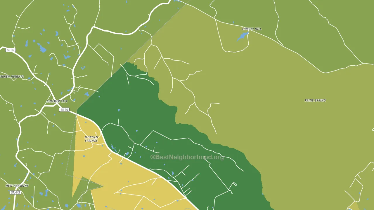 Morgan Springs, TN block-group voter-turnout map