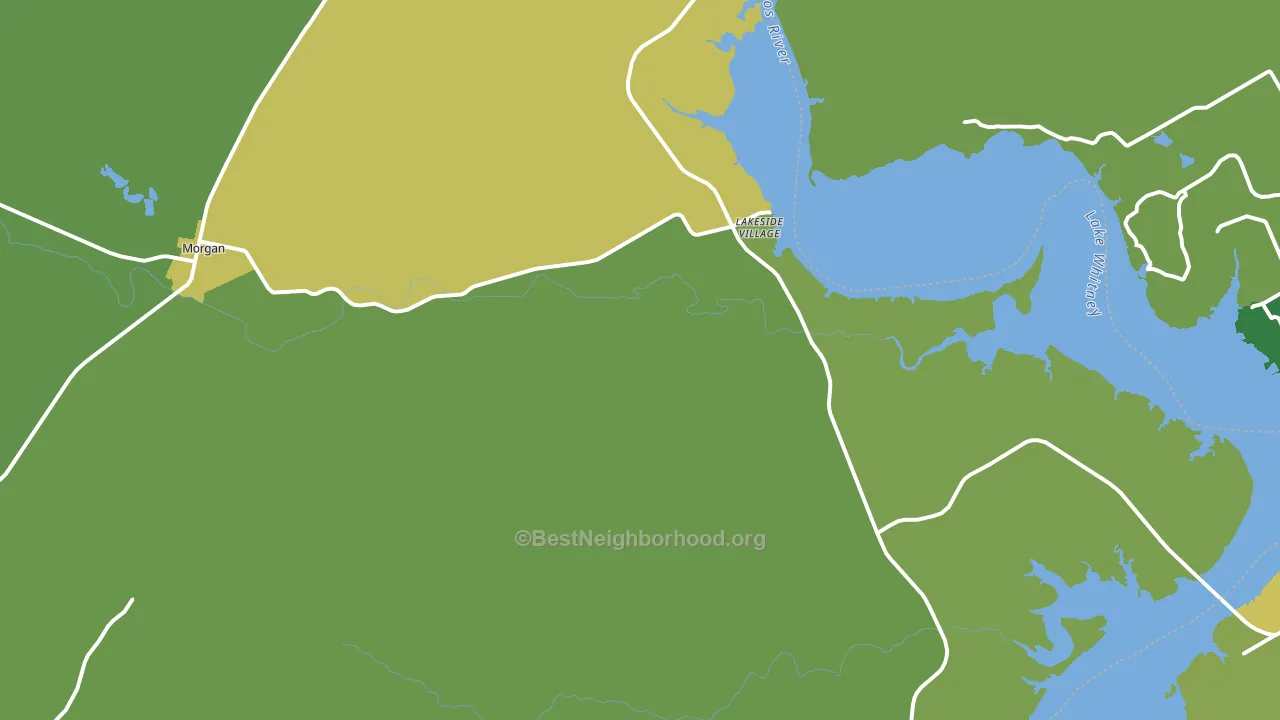 Morgan, TX block-group voter-turnout map