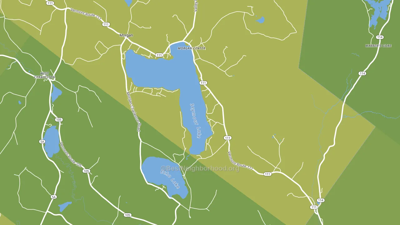 Morgan, VT block-group voter-turnout map