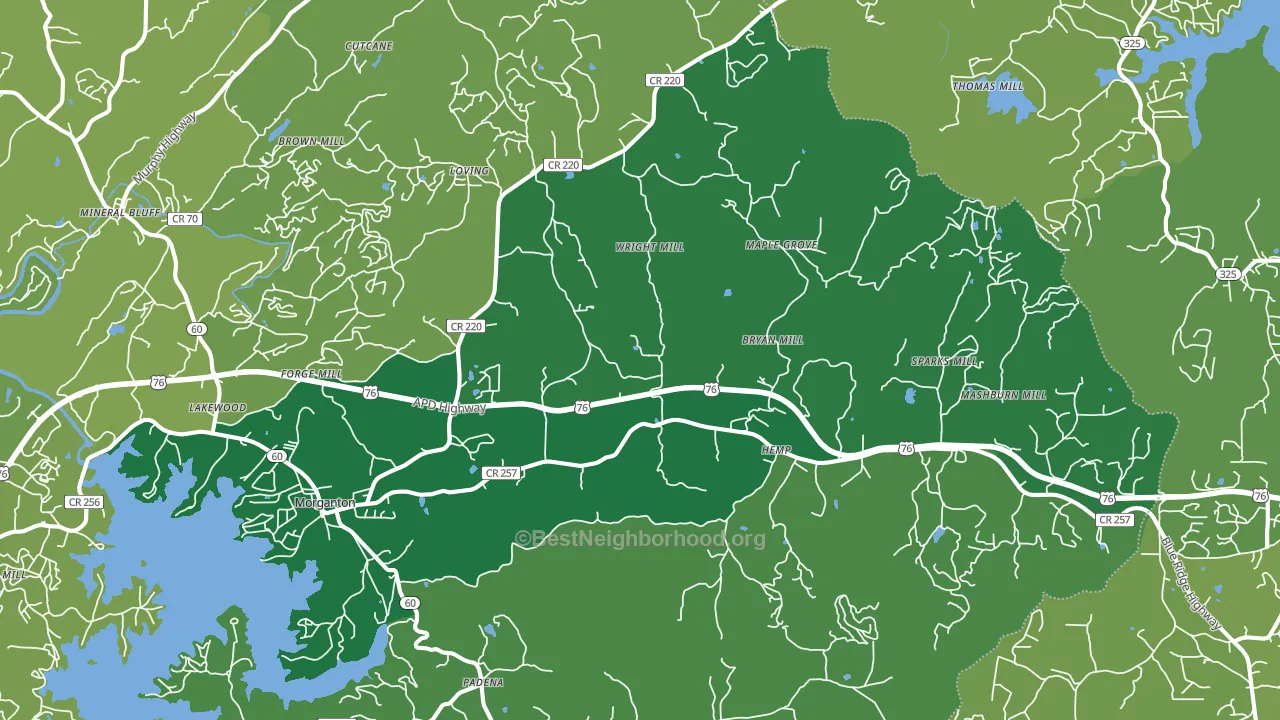 Morganton, GA block-group voter-turnout map