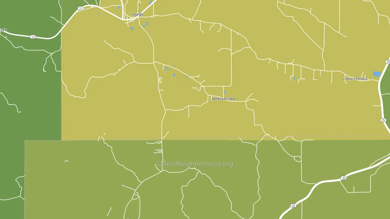 Morgantown, MS block-group voter-turnout map