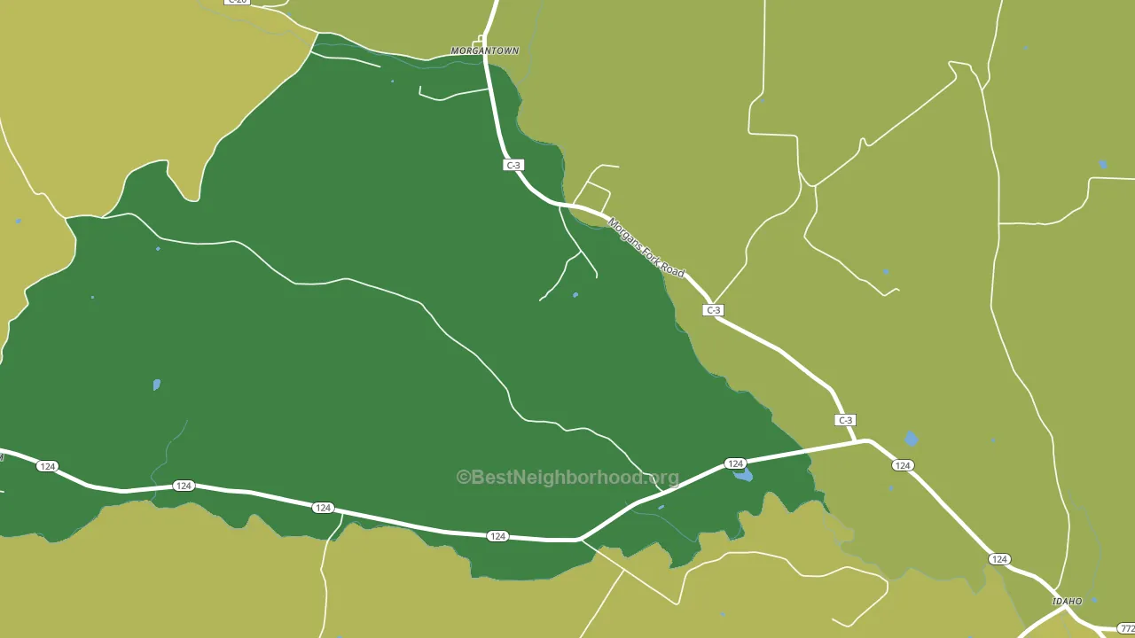 Morgantown, OH block-group voter-turnout map