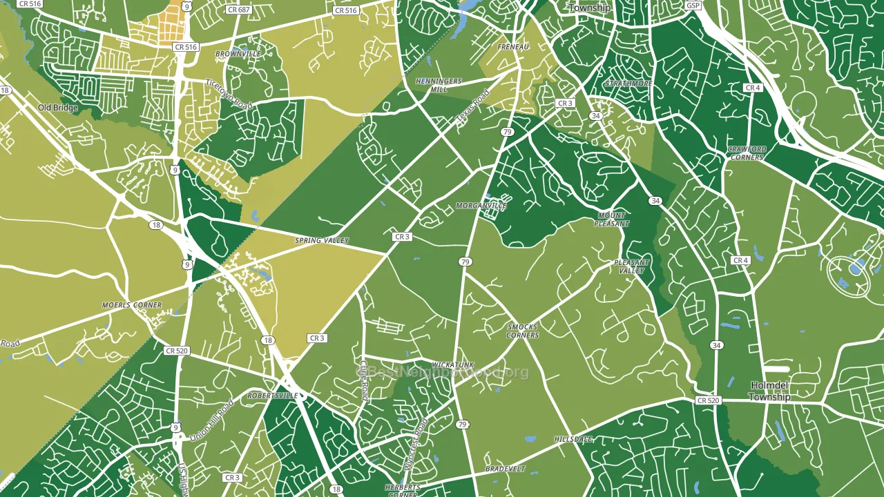 Morganville, NJ block-group voter-turnout map