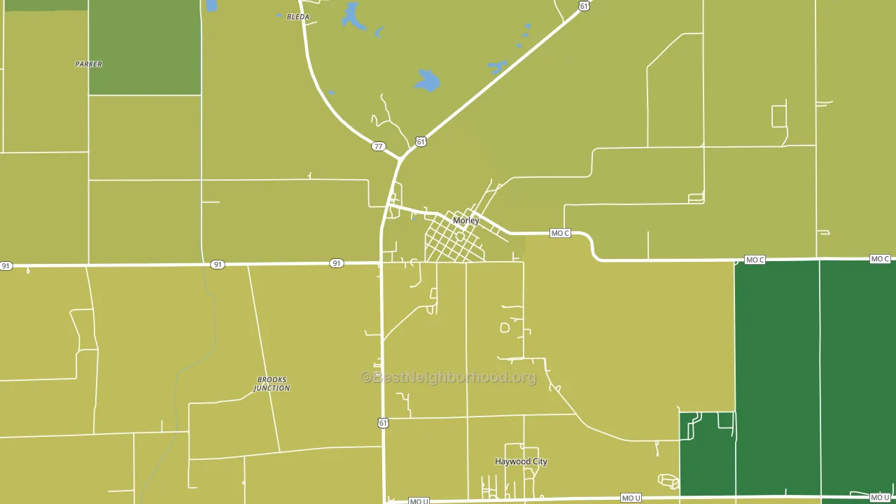 Morley, MO block-group voter-turnout map