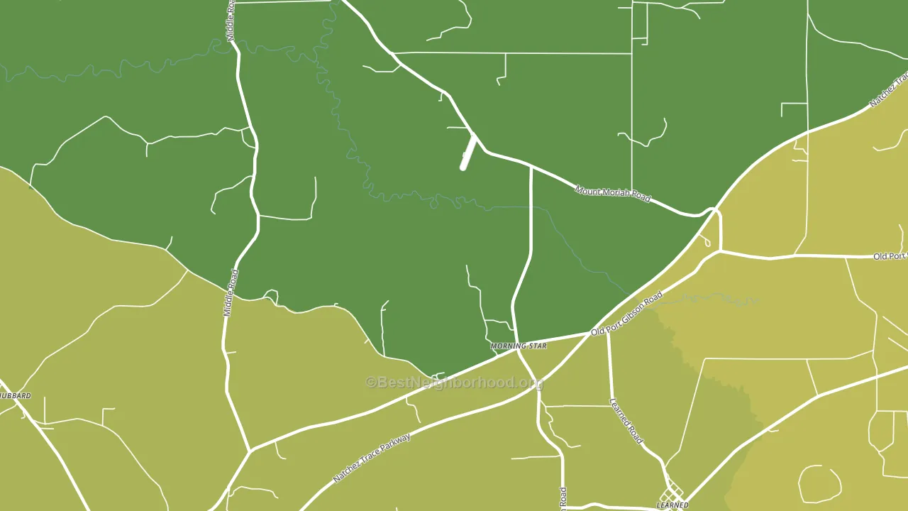 Morning Star, MS block-group voter-turnout map