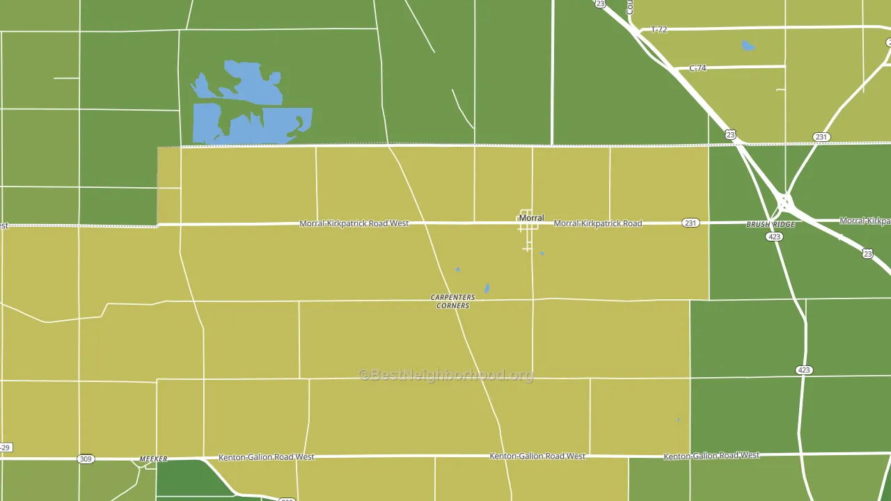 Morral, OH block-group voter-turnout map
