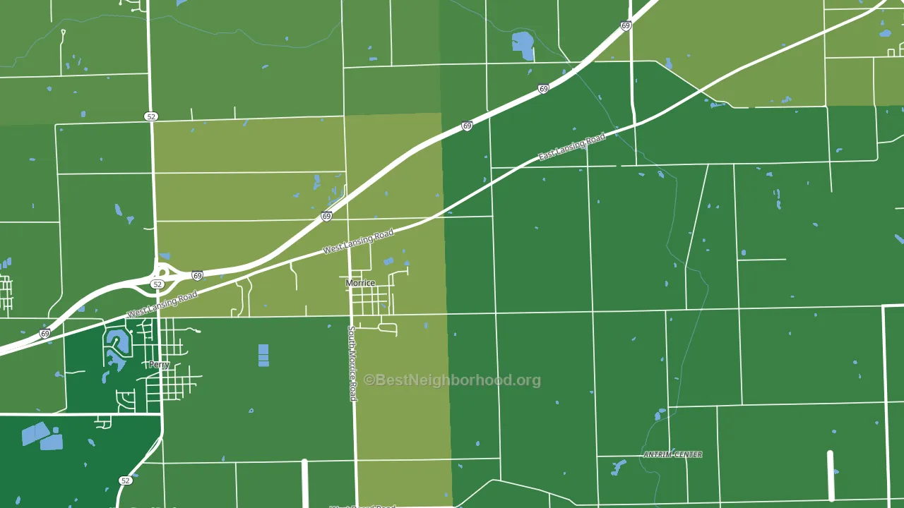 Morrice, MI block-group voter-turnout map