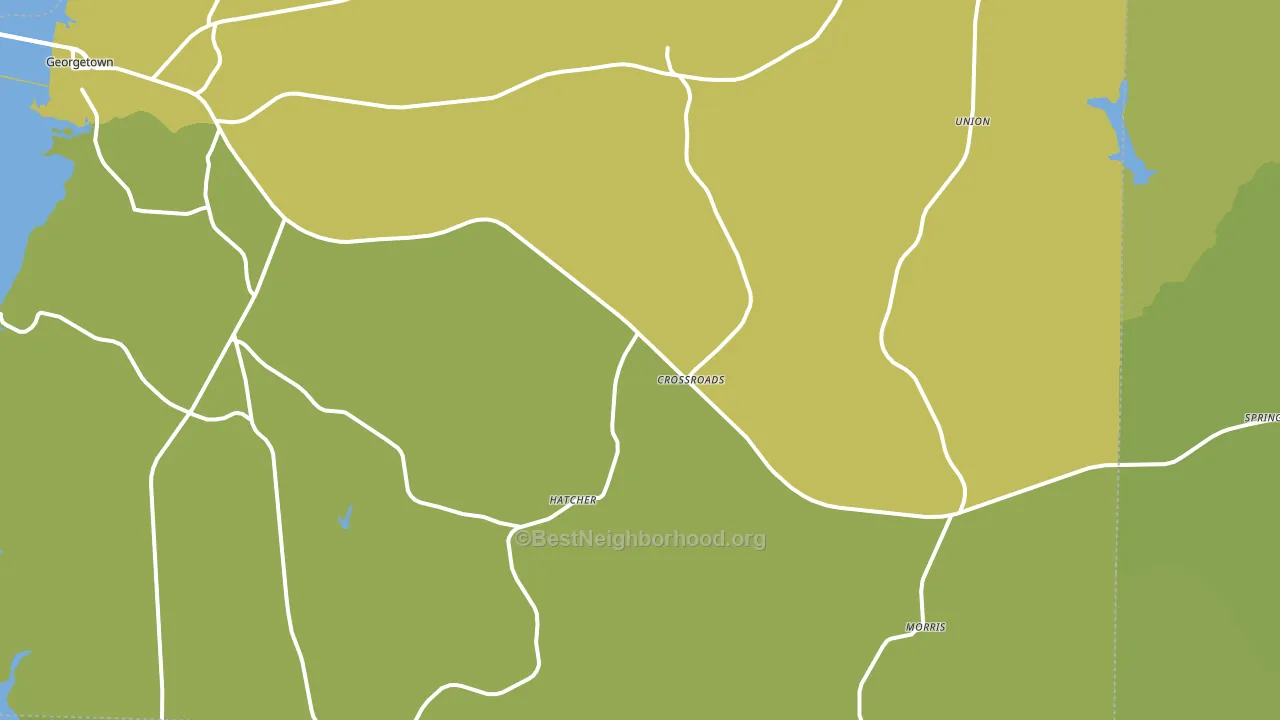 Morris, GA block-group voter-turnout map