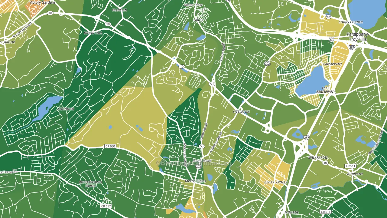 Morris Plains, NJ block-group voter-turnout map
