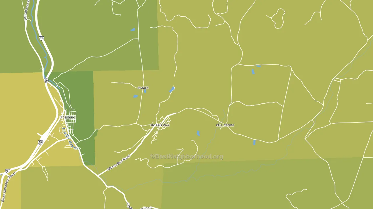 Morris Run, PA block-group voter-turnout map