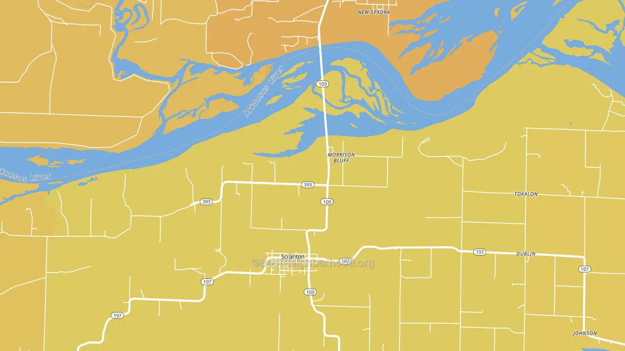 Morrison Bluff, AR block-group voter-turnout map