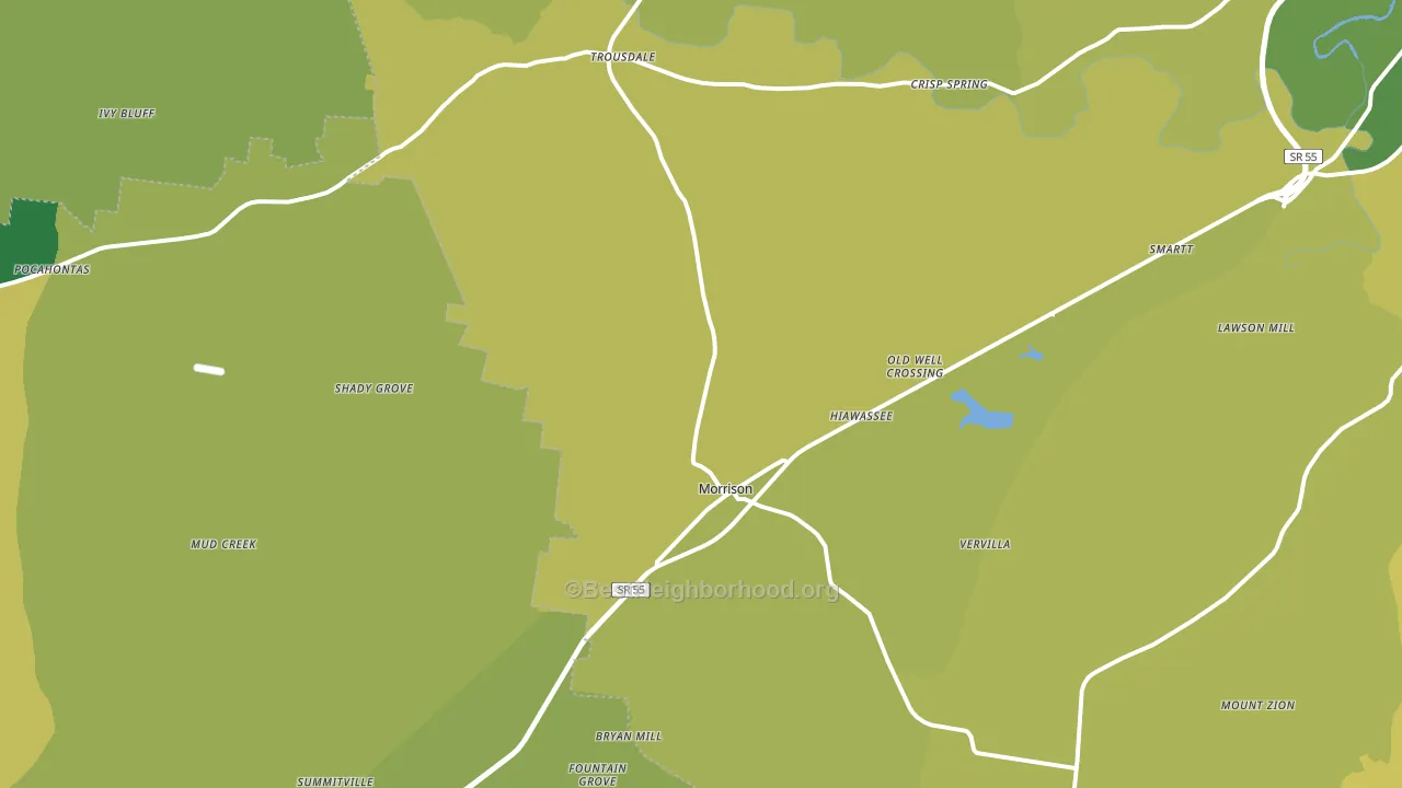 Morrison, TN block-group voter-turnout map