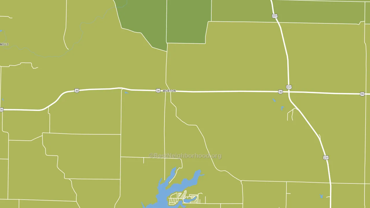 Morton, IN block-group voter-turnout map