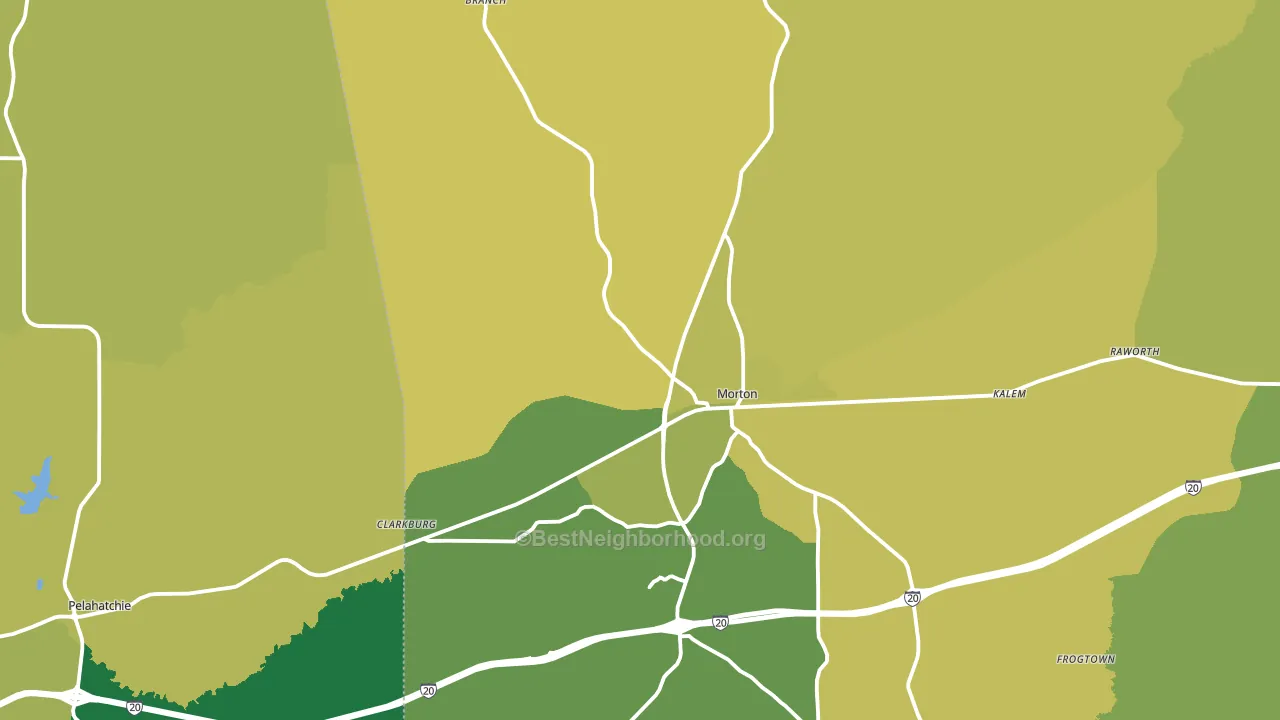 Morton, MS block-group voter-turnout map