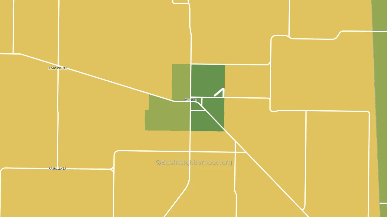 Morton, TX block-group voter-turnout map