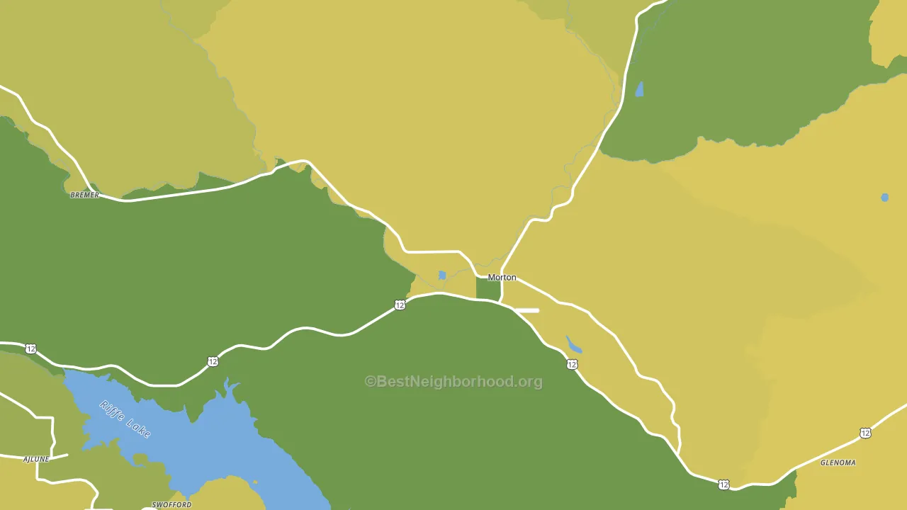 Morton, WA block-group voter-turnout map