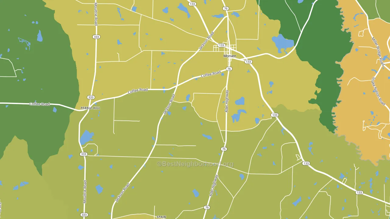 Morven, GA block-group voter-turnout map