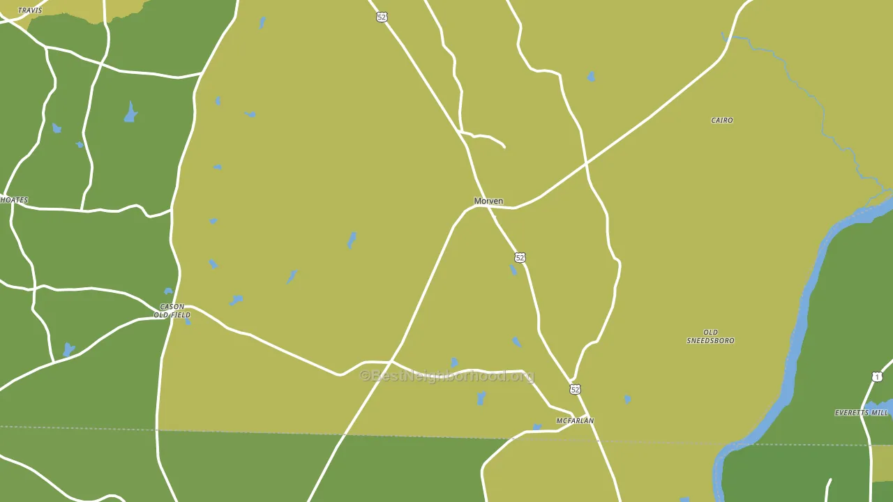 Morven, NC block-group voter-turnout map