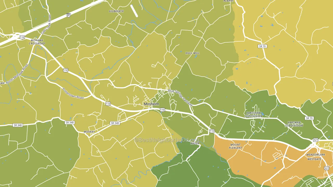 Mosheim, TN block-group voter-turnout map