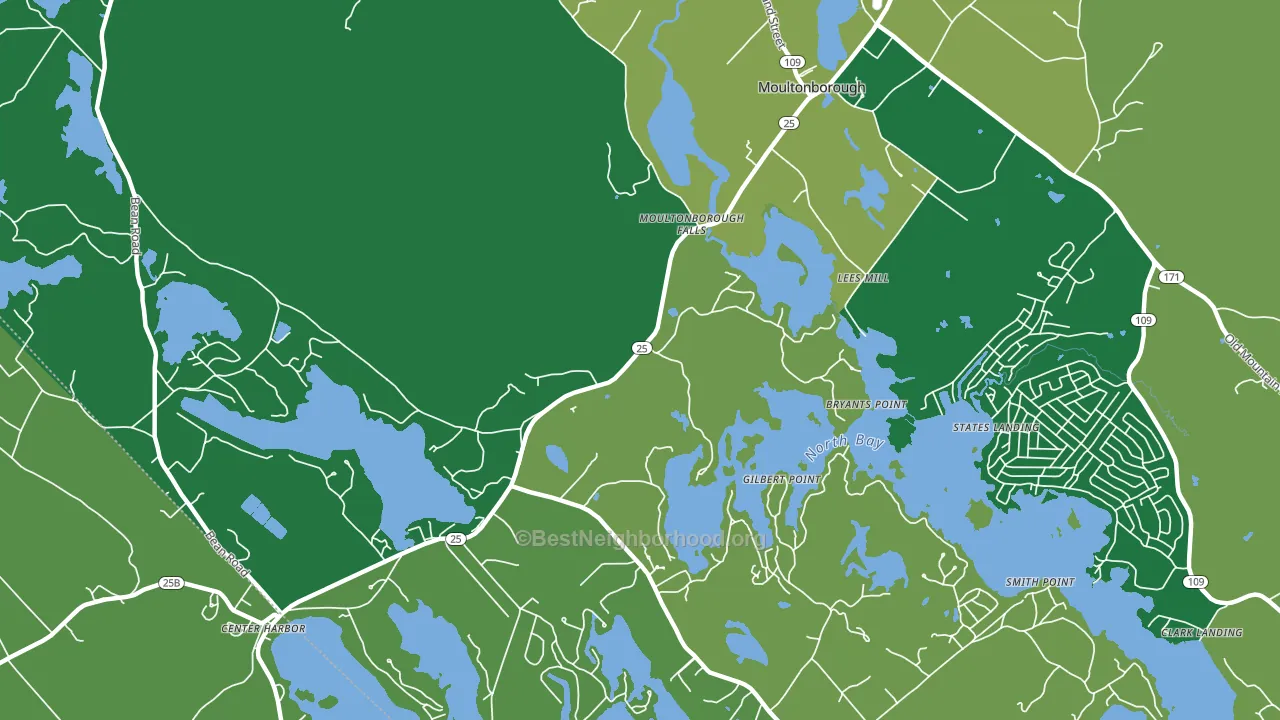 Moultonborough Falls, NH block-group voter-turnout map