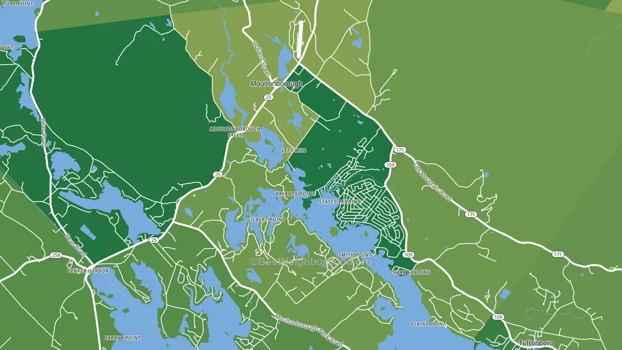 Moultonborough, NH block-group voter-turnout map