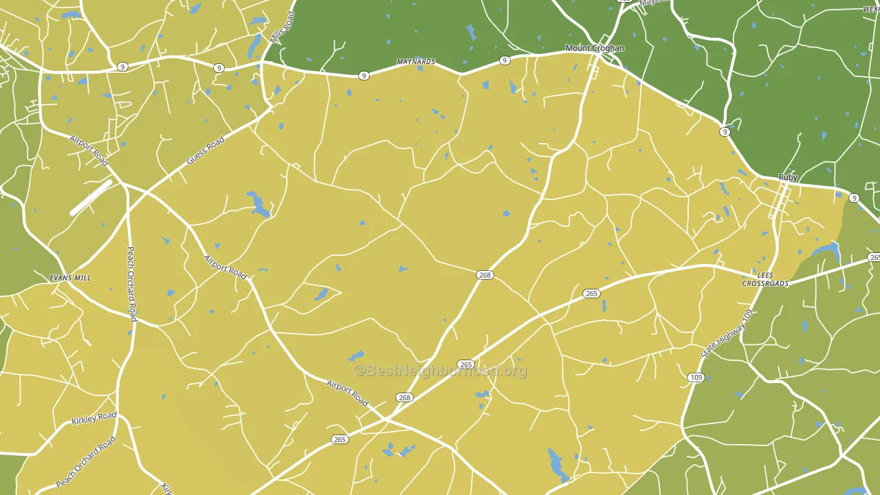 Mount Croghan, SC block-group voter-turnout map