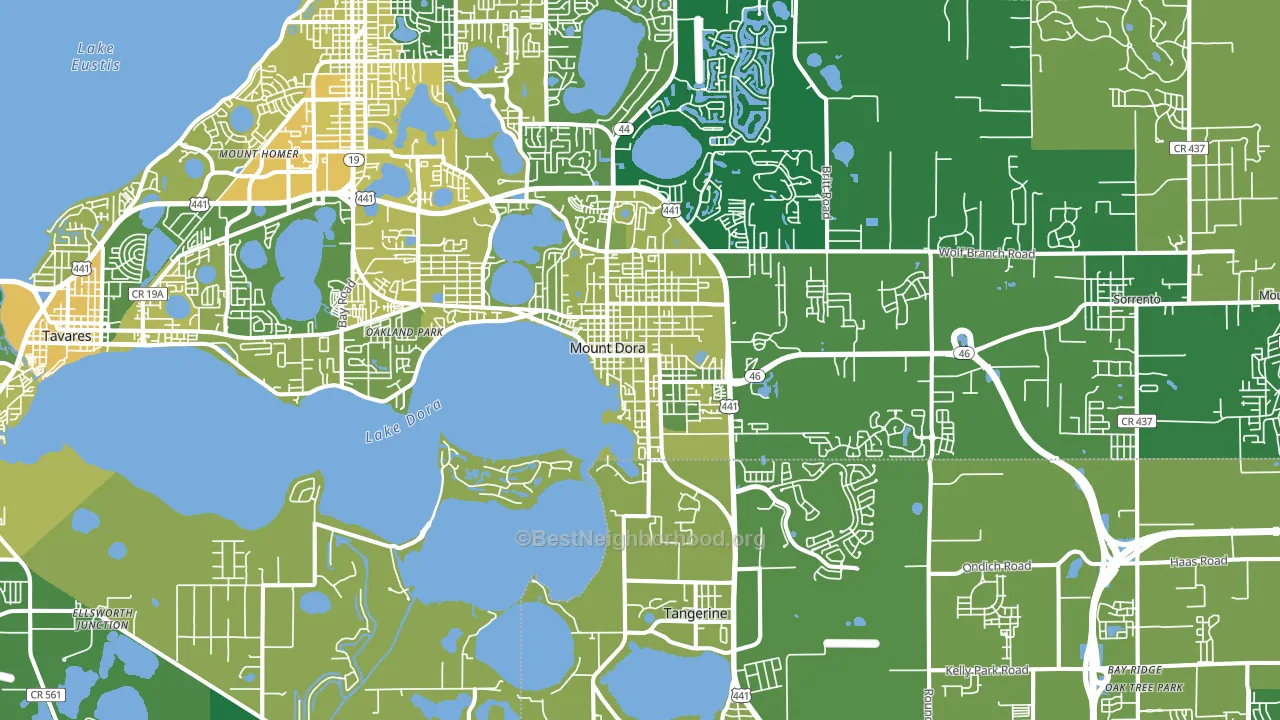 Mount Dora, FL block-group voter-turnout map