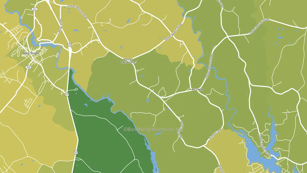 Mount Gallagher, SC block-group voter-turnout map