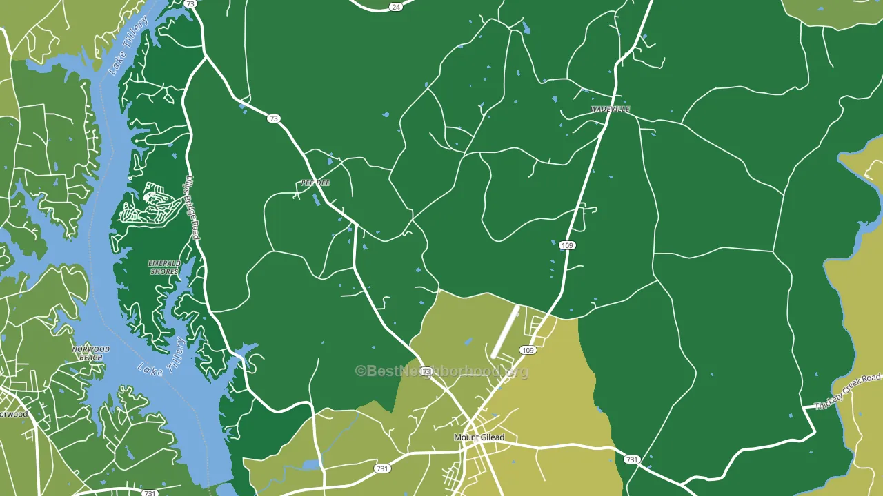 Mount Gilead, NC block-group voter-turnout map