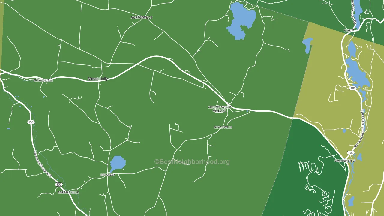 Mount Holly, VT block-group voter-turnout map