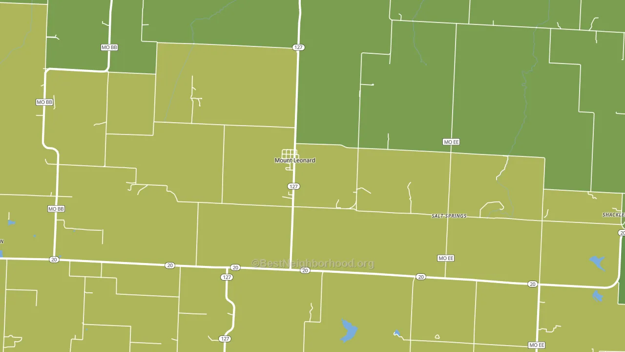 Mount Leonard, MO block-group voter-turnout map