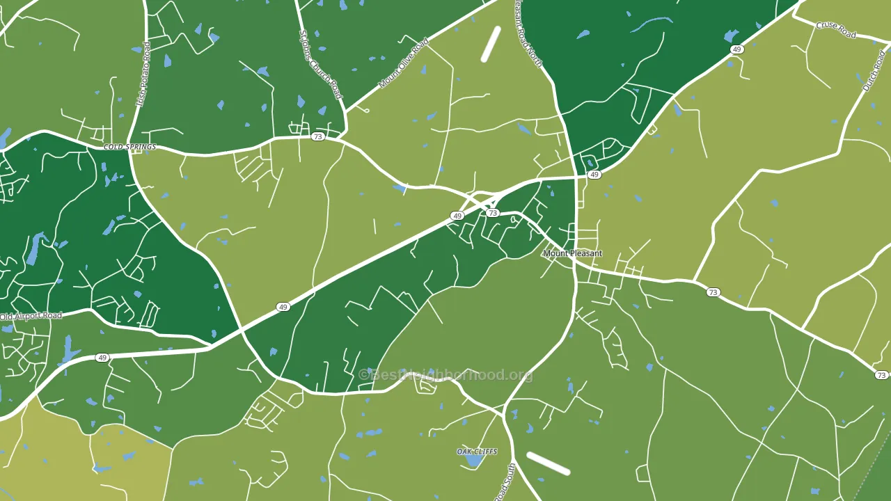 Mount Pleasant Area, Mount Pleasant, NC block-group voter-turnout map