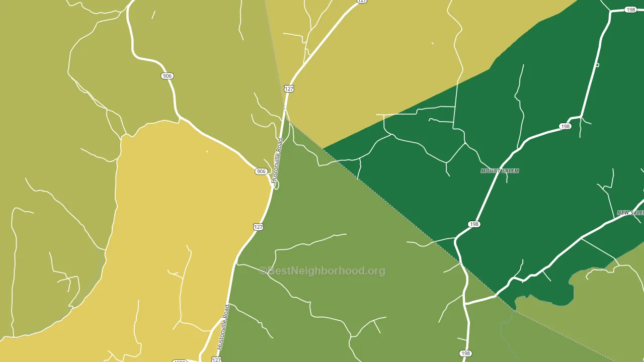 Mount Salem, KY block-group voter-turnout map