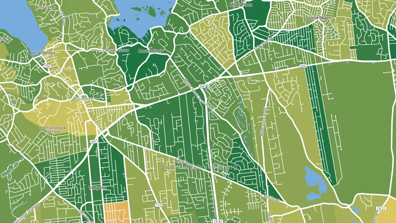 Mount Sinai, NY block-group voter-turnout map