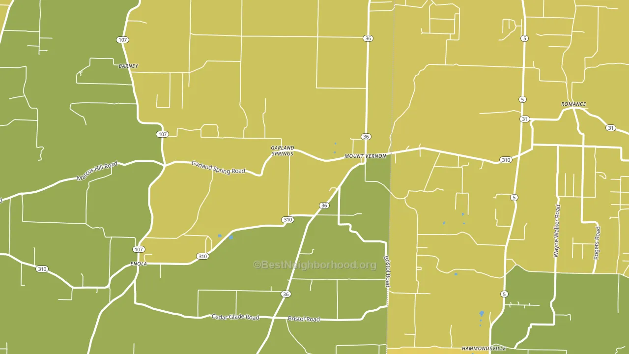 Mount Vernon, AR block-group voter-turnout map